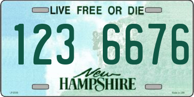 NH license plate 1236676
