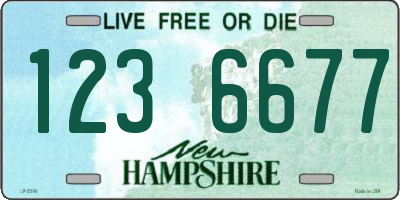 NH license plate 1236677