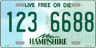 NH license plate 1236688