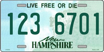 NH license plate 1236701