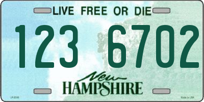 NH license plate 1236702