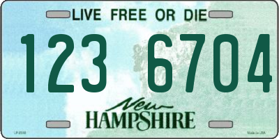 NH license plate 1236704