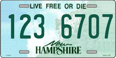 NH license plate 1236707