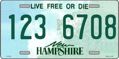 NH license plate 1236708