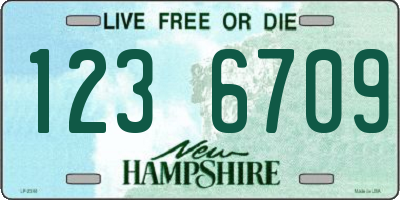 NH license plate 1236709