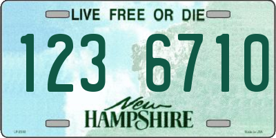 NH license plate 1236710
