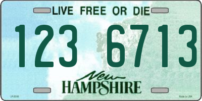 NH license plate 1236713