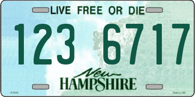 NH license plate 1236717