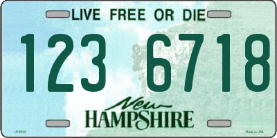 NH license plate 1236718