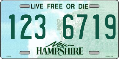 NH license plate 1236719