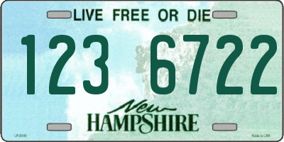 NH license plate 1236722