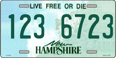 NH license plate 1236723