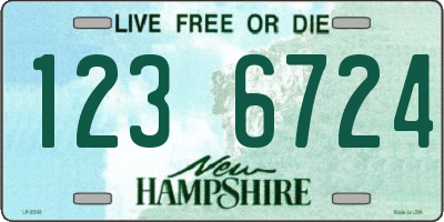 NH license plate 1236724