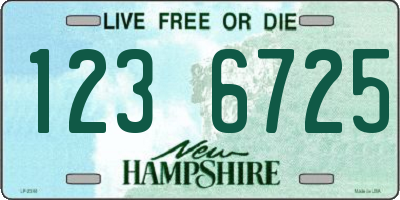 NH license plate 1236725