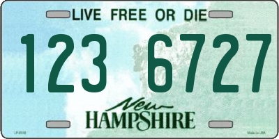 NH license plate 1236727