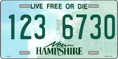 NH license plate 1236730