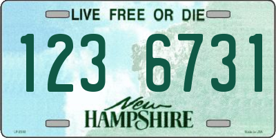 NH license plate 1236731