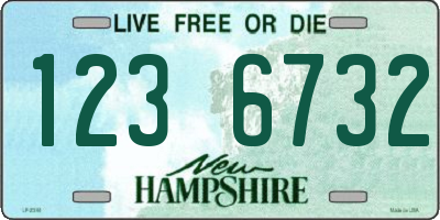 NH license plate 1236732