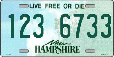 NH license plate 1236733