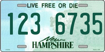 NH license plate 1236735