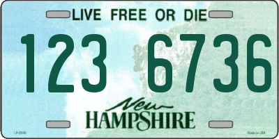 NH license plate 1236736