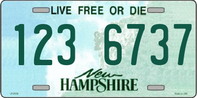 NH license plate 1236737