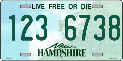 NH license plate 1236738