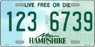 NH license plate 1236739