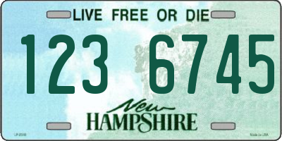 NH license plate 1236745