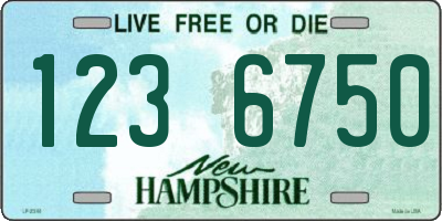 NH license plate 1236750