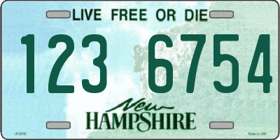 NH license plate 1236754