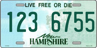 NH license plate 1236755