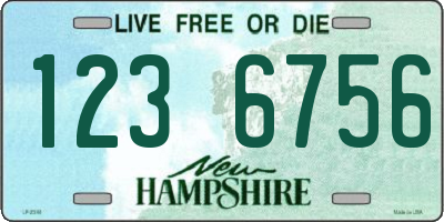 NH license plate 1236756