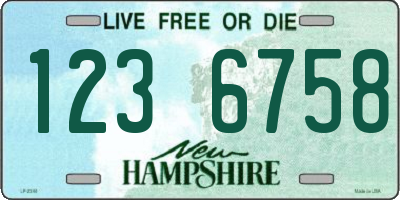 NH license plate 1236758