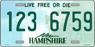 NH license plate 1236759