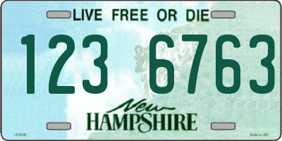 NH license plate 1236763