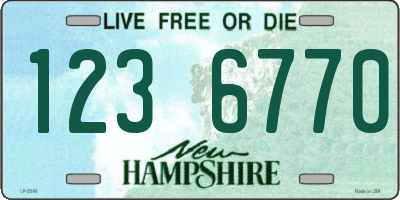 NH license plate 1236770
