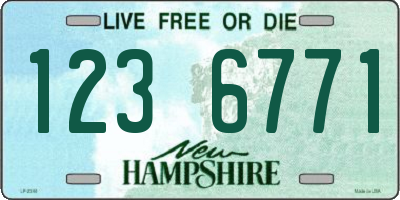 NH license plate 1236771