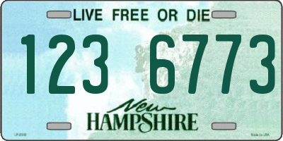 NH license plate 1236773