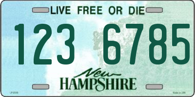 NH license plate 1236785