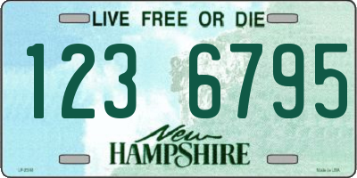 NH license plate 1236795