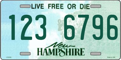 NH license plate 1236796