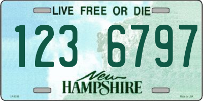 NH license plate 1236797