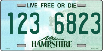 NH license plate 1236823