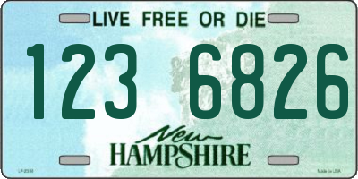 NH license plate 1236826