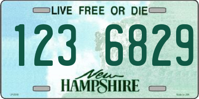 NH license plate 1236829