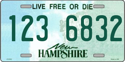 NH license plate 1236832