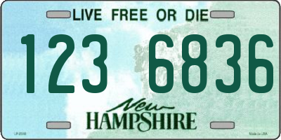 NH license plate 1236836