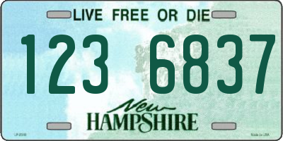 NH license plate 1236837