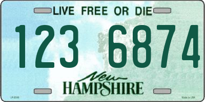 NH license plate 1236874